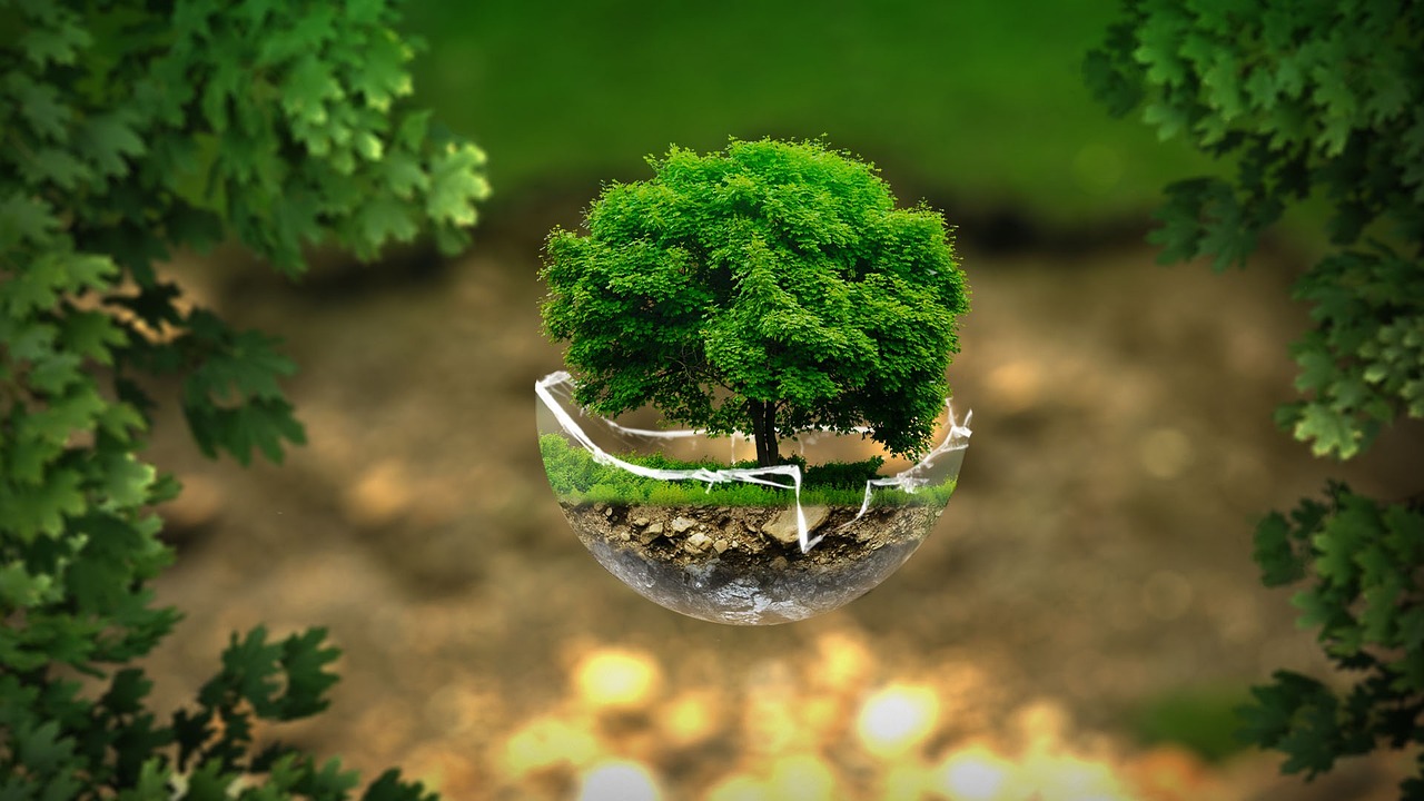 Eco-Marketing: Is This a Green Solution for Businesses?